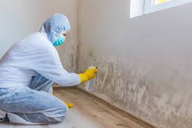 Reliable Lynn Haven, FL Mold Removal Services Solutions